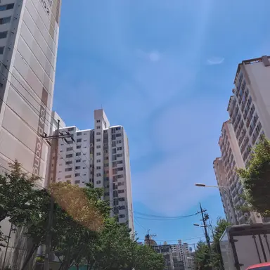 Profile image of 박성진