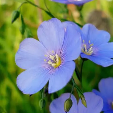 Profile image of 휴