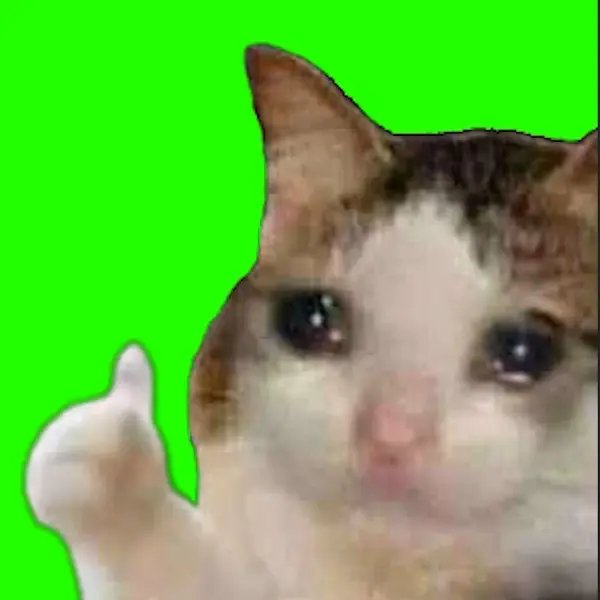 Gman17의 위로를 해주는 고양이