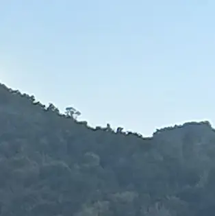 Profile image of 정성찬