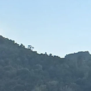 정성찬