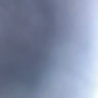 Profile image of All-Boys Mafia School