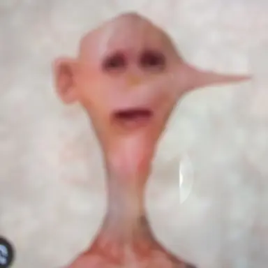 Profile image of Fran Kiel