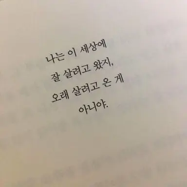 Profile image of 고토부키 미나미