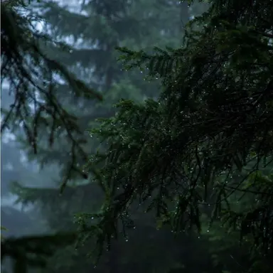 Profile image of 박소영