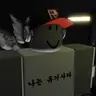 Profile image of 유기사