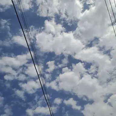 Profile image of 유저