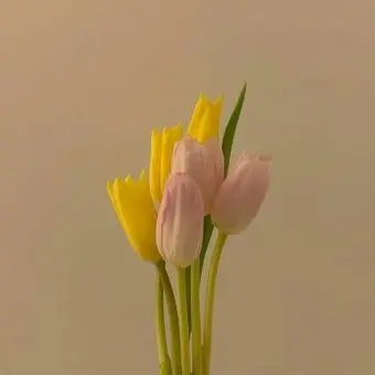 Profile image of 준브