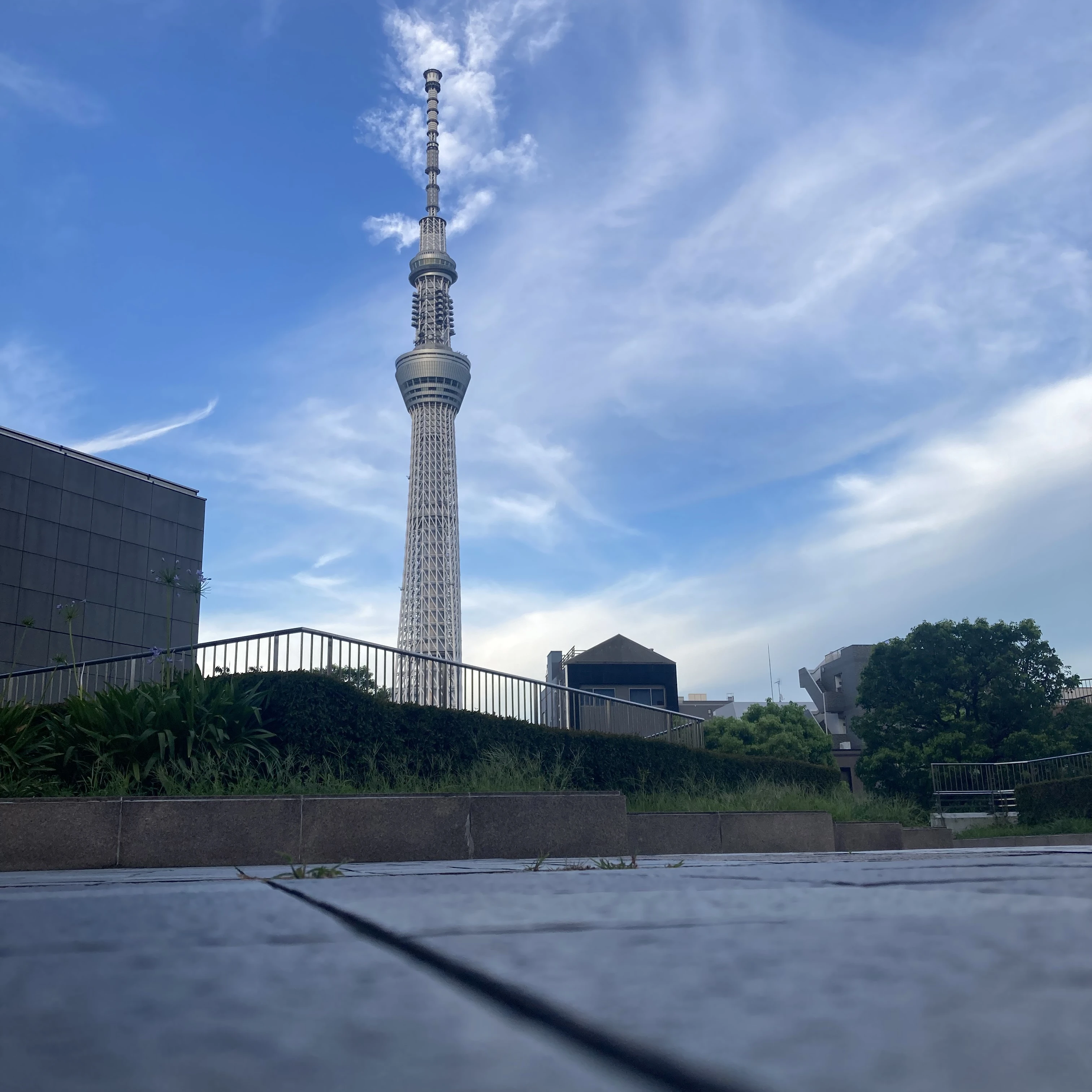 告白を