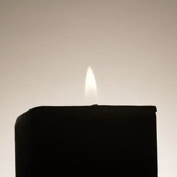 0w0_0101의 나와 정반대의 그림자와 동거하기