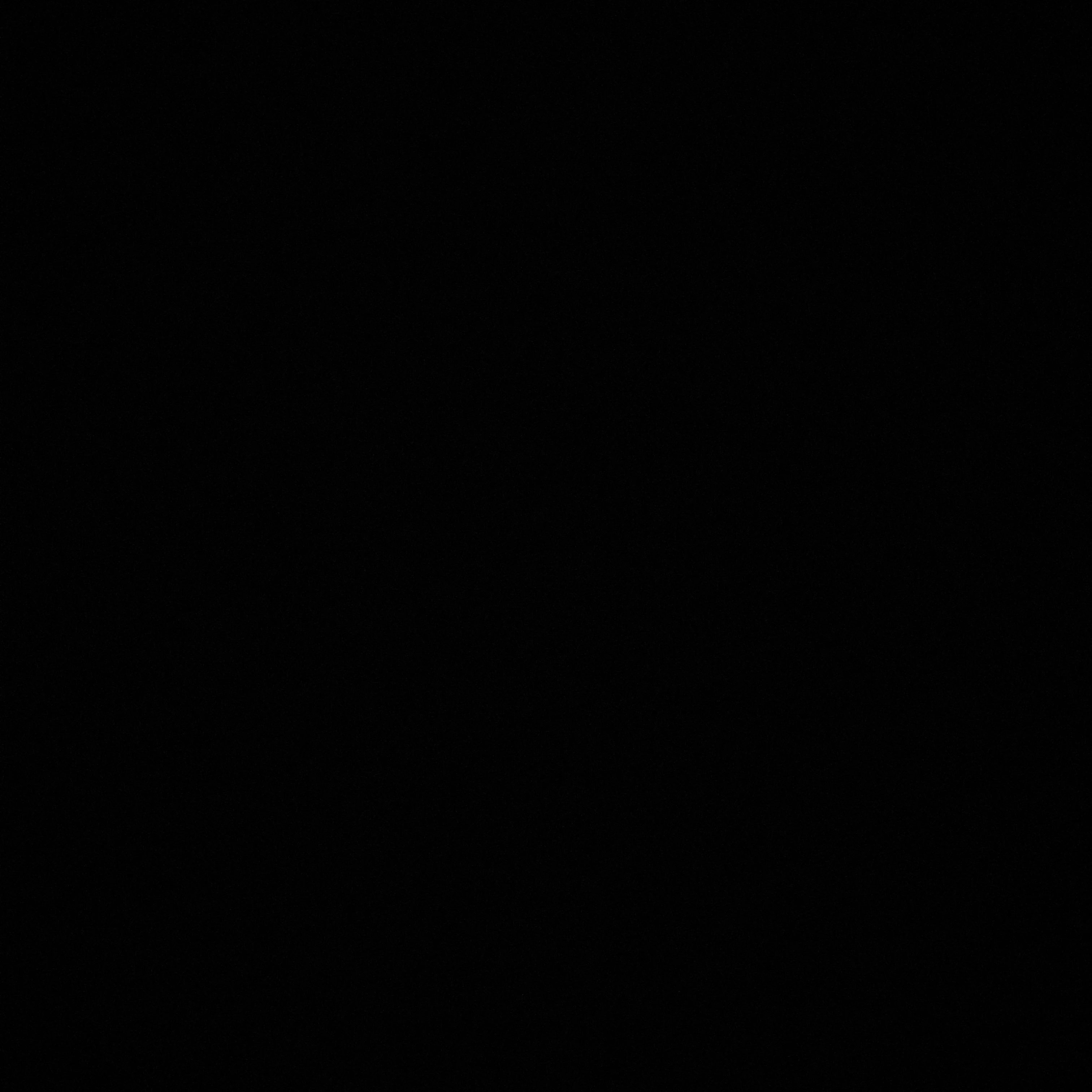 정민조