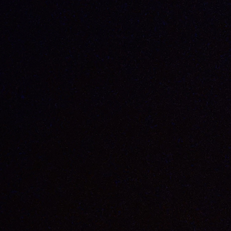 리정