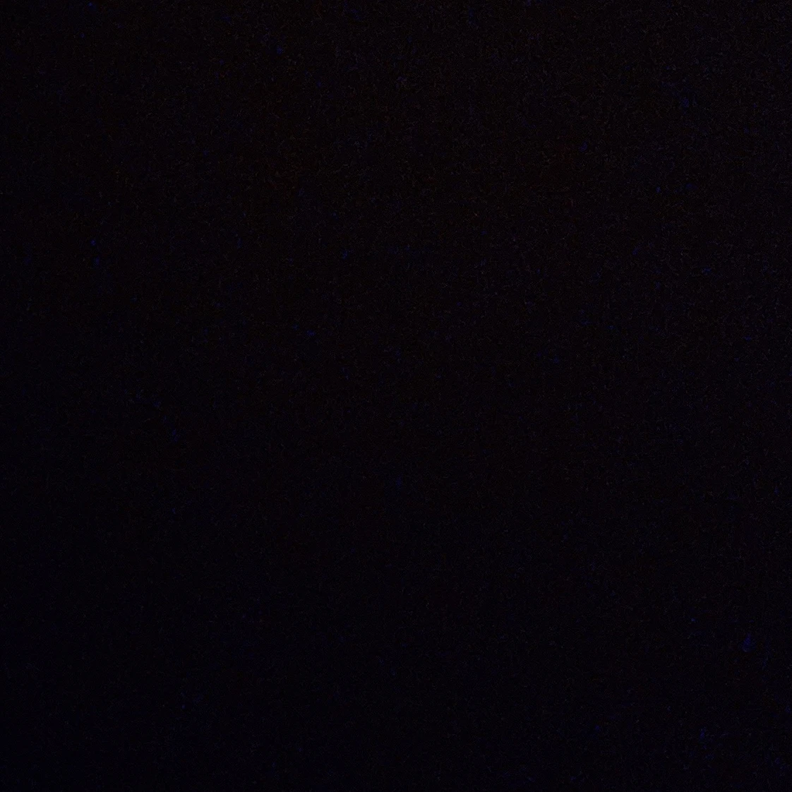가비
