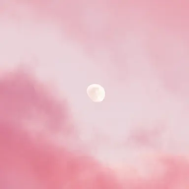 Profile image of 선하