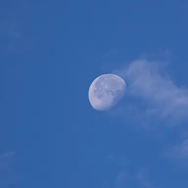 Profile image of 파이브