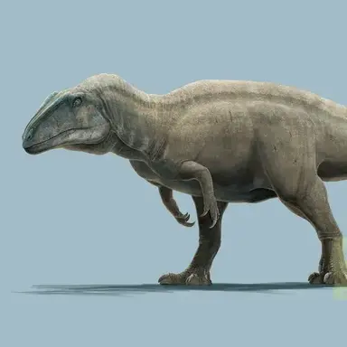 Profile image of 카롤리니