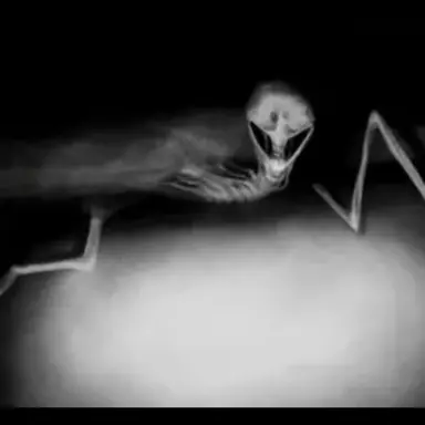 Profile image of 플러쉬 배드