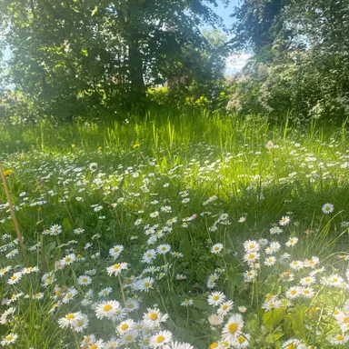 Profile image of 천카이원