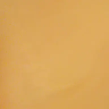 Profile image of 홍챠