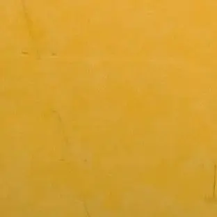 Profile image of 꽥