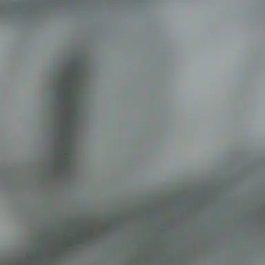 Profile image of RED
