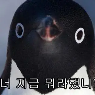 Profile image of 펭귄