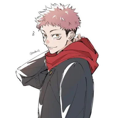 Profile image of 虎杖悠仁