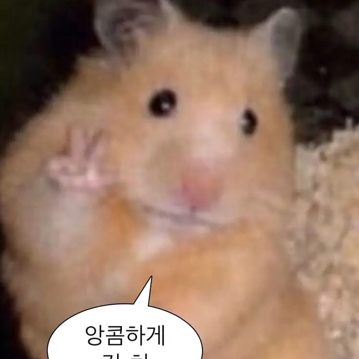 Becomebread의 나의히어로아카데미아