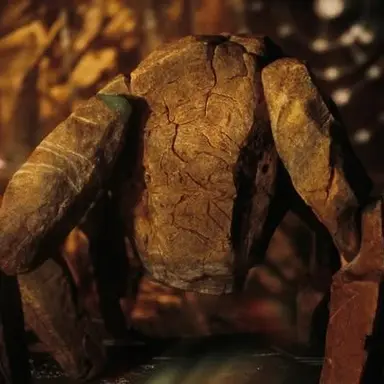 Profile image of Rocky