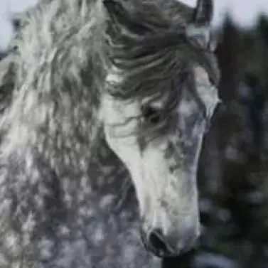 Profile image of Astrid
