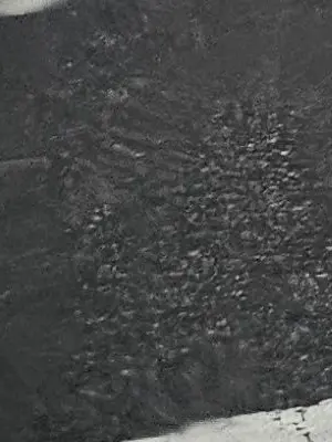 Buki0710의 와르르 패밀리(능력자들)