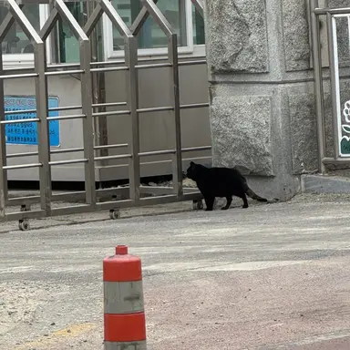 Profile image of 백하람