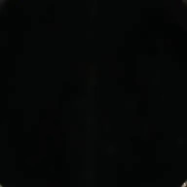 Profile image of 김애리