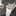 相斗(あいと)