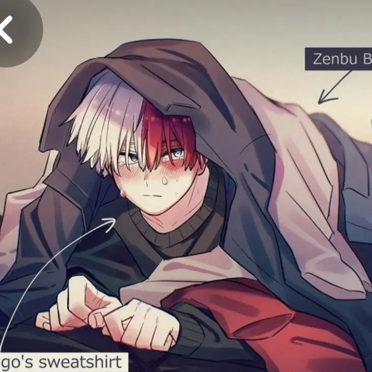 Shoto_01116의 토도로키 쇼토