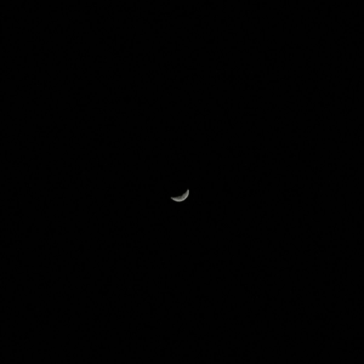 서우