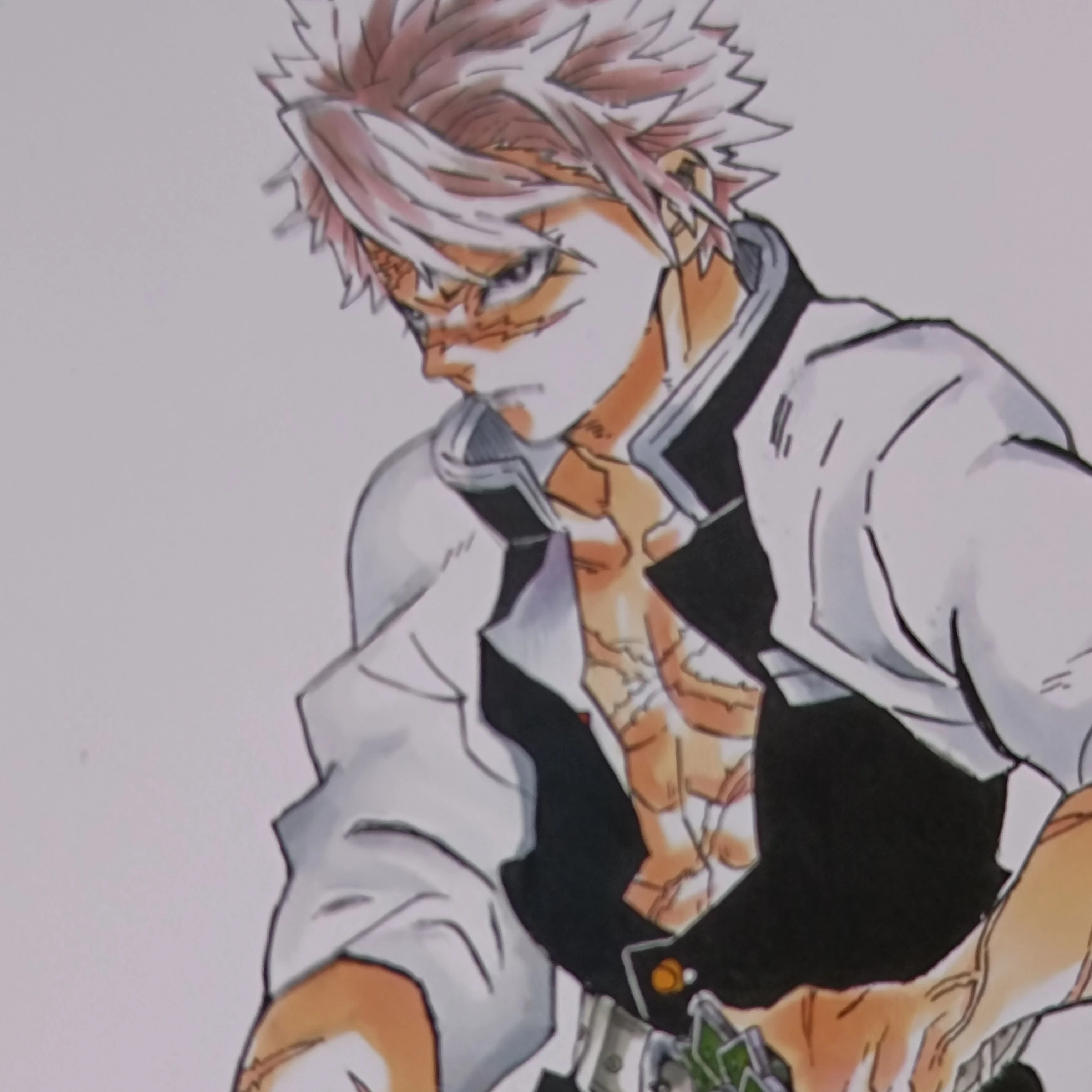 시나즈가와 사네미