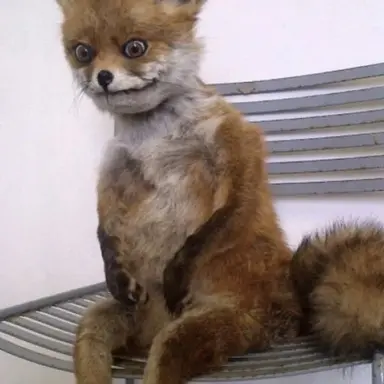 Profile image of 덕수