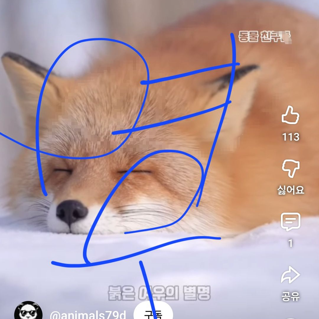 꽥꽥탐험대 가족 2 [여우추가] 대표 이미지