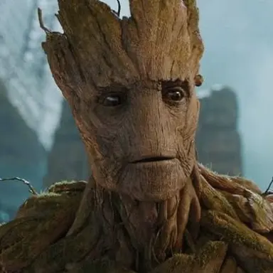 Profile image of Groot