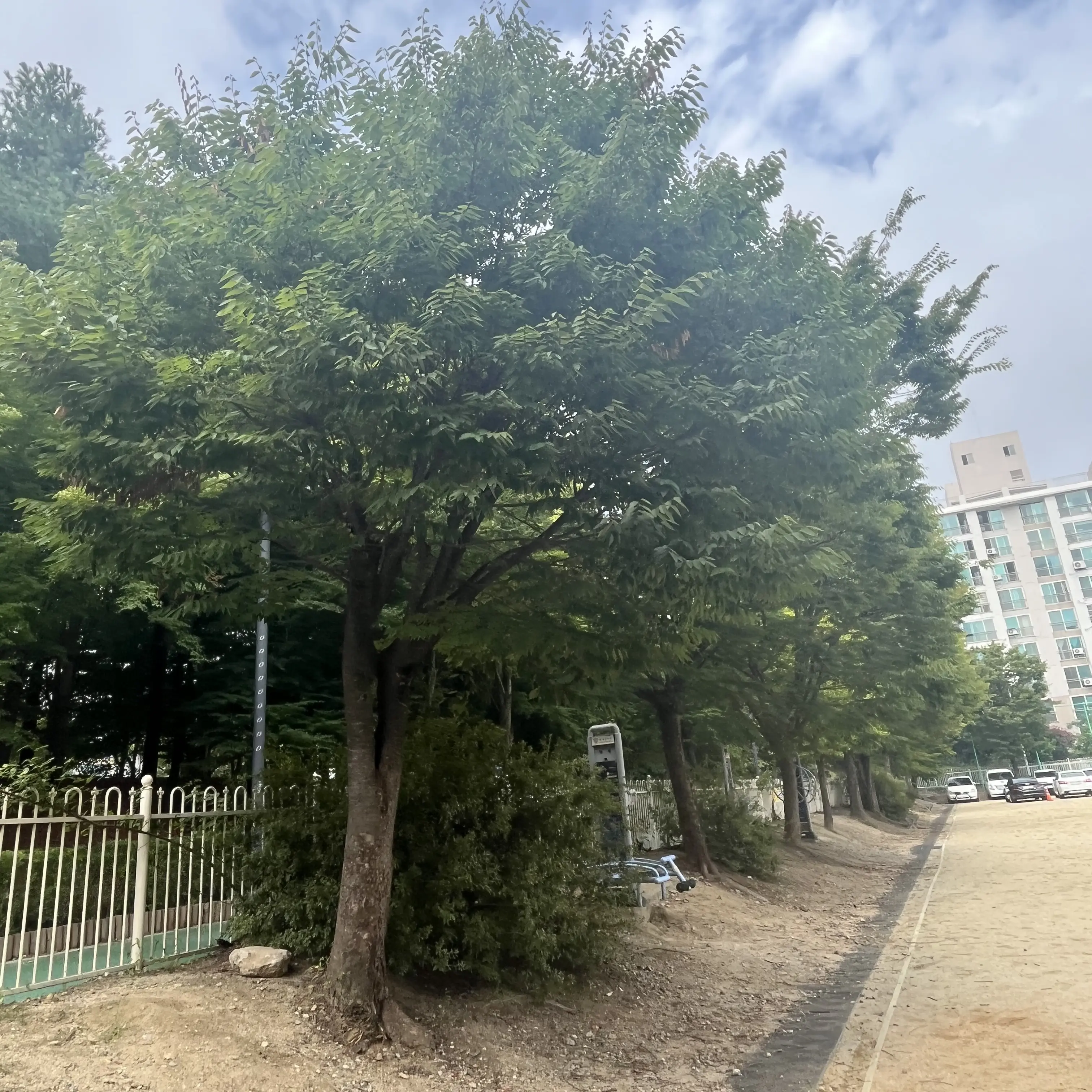 FullTent4505의 쌍둥이가족