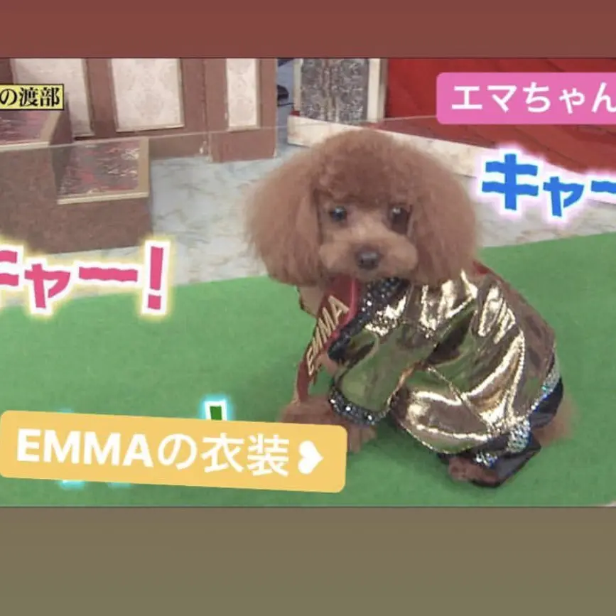 AbleShock5703의 慶ちゃん、八尺様のりかに恋をしちゃった…