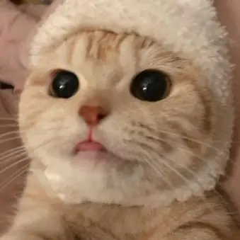 OrnateEuro1794의 다공일수