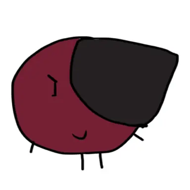 Profile image of ワウィン