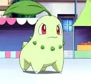 CoolLoris2551의 Chikorita