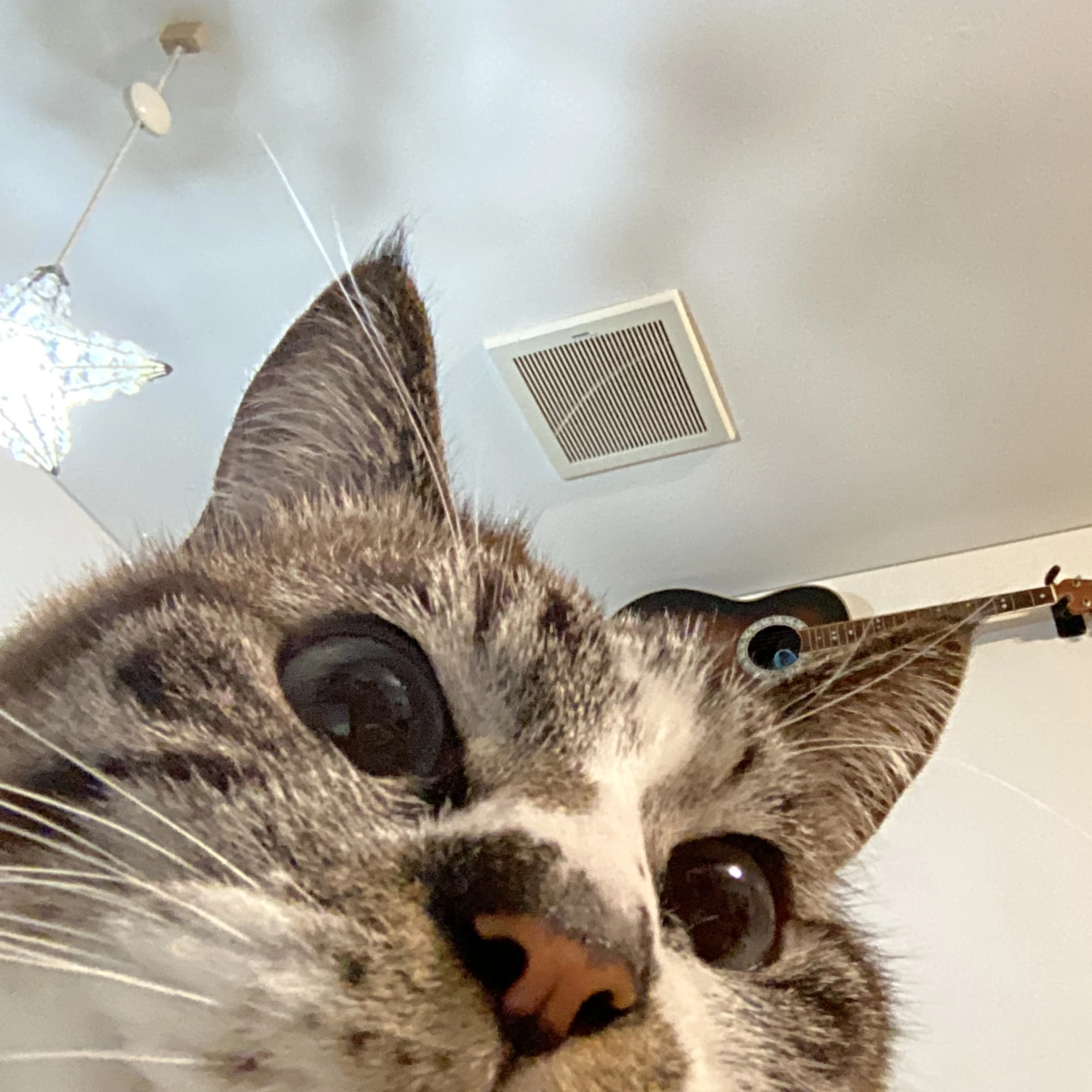 ミル