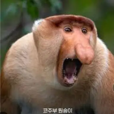 Profile image of 여우