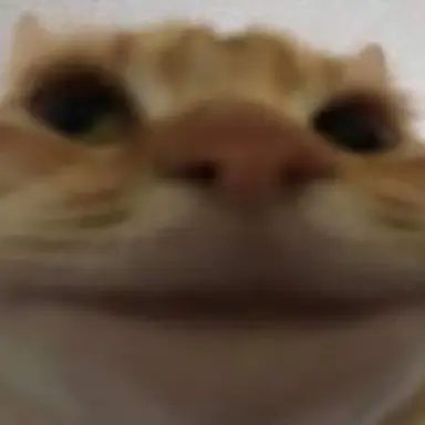 Profile image of 여우