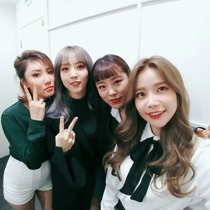 CurvyPlank1800의 마마무