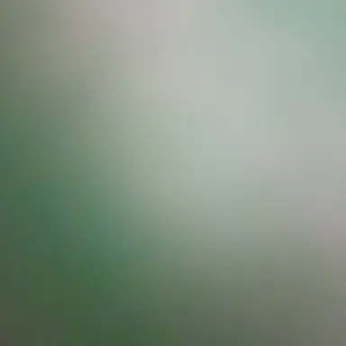 Profile image of 게스트